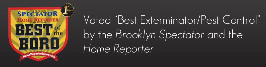 voted best of boro pest control afederal exterminating brooklyn nyc