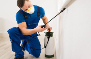 Flushing New York Pest Control Services